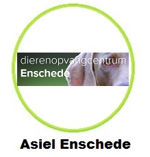 Asiel Enschede