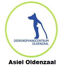 Asiel Oldenzaal