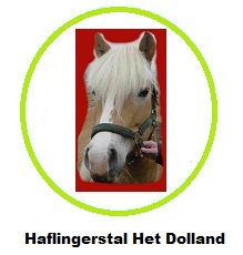 http://www.haflingerstalhetdolland.nl/