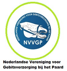 https://www.nvvgp.nl/