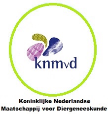 buttonknmvdlichtgroen